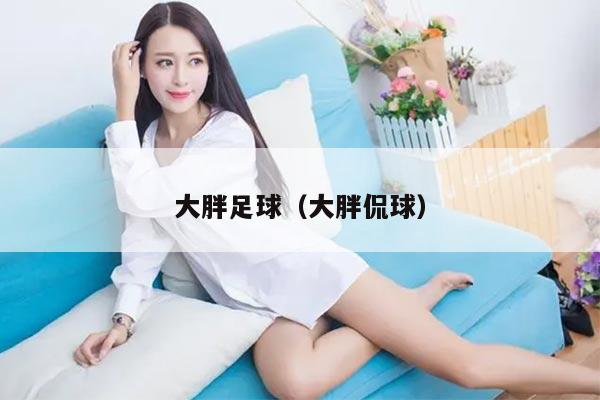 大胖足球（大胖侃球）