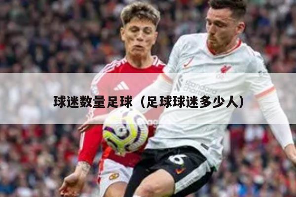 球迷数量足球（足球球迷多少人）