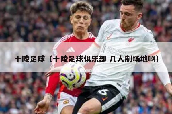 十陵足球（十陵足球俱乐部 几人制场地啊）