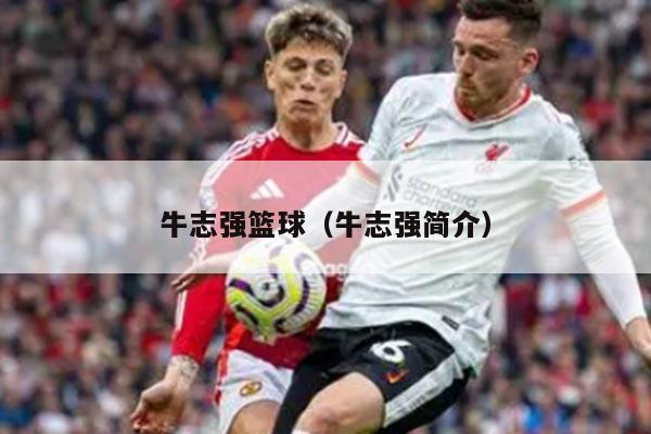 牛志强篮球（牛志强简介）