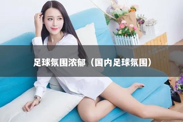 足球氛围浓郁（国内足球氛围）