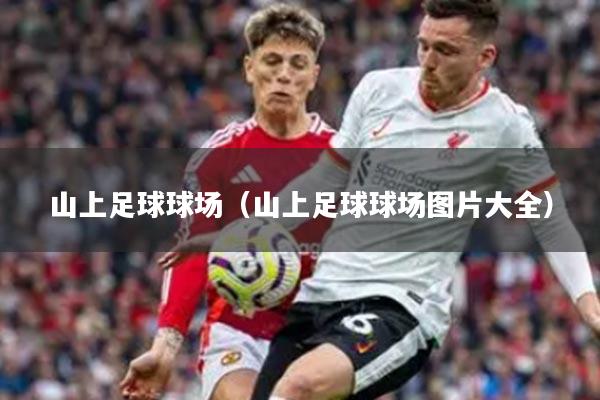 山上足球球场(山上足球球场图片大全)