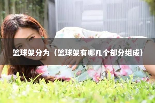 篮球架分为(篮球架有哪几个部分组成)