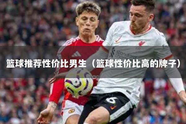 篮球推荐性价比男生（篮球性价比高的牌子）